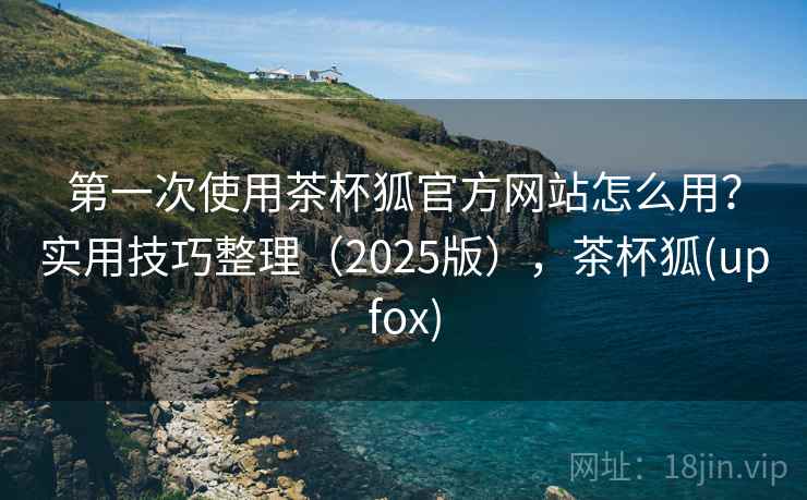 第一次使用茶杯狐官方网站怎么用？实用技巧整理（2025版），茶杯狐(upfox)