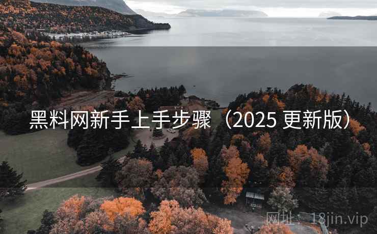 黑料网新手上手步骤（2025 更新版）