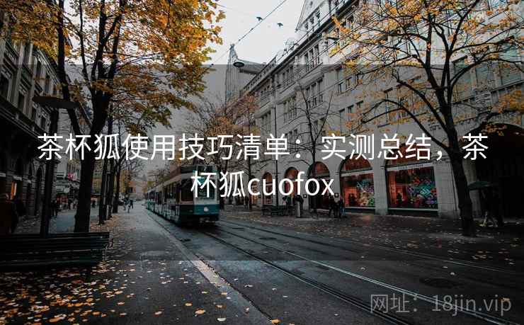 茶杯狐使用技巧清单：实测总结，茶杯狐cuofox