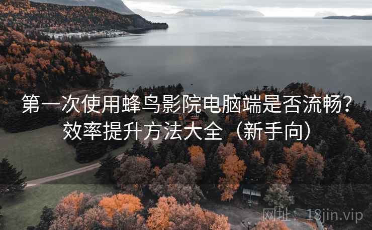 第一次使用蜂鸟影院电脑端是否流畅?效率提升方法大全(新手向) 第一次使用蜂鸟影院电脑端是否流畅?效率提升方法大全(新手向)